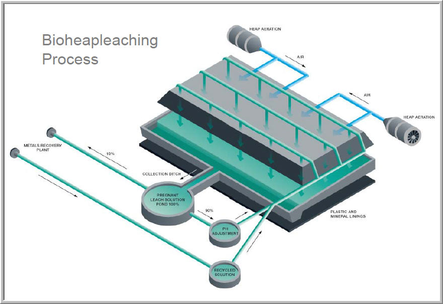 1 Talvivaara bleach process